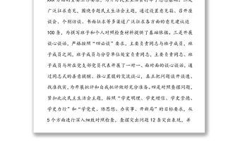 2021年局黨組領導民主生活會班子對照檢查材料