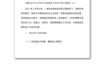 6篇2022年上半年工作總結及下半年工作計劃范文6篇含鄉鎮生態辦公室社會事務辦公室