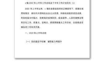 6篇2022年上半年工作总结及下半年工作计划范文6篇含乡镇生态办公室社会事务办公室