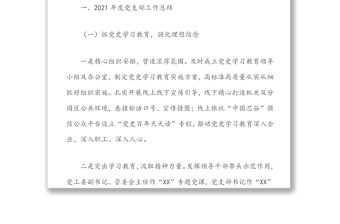 XX高新區黨支部2021年度工作總結