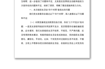 4篇黨支部班子2021-2022年度組織生活會(huì)四個(gè)方面班子對(duì)照檢查剖析材料