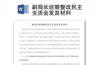 副局長巡察整改民主生活會發(fā)言材料