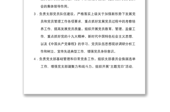 党支部全面从严治党责任清单范文7人党支部书记班子成员副书记组织宣传纪检青年安全个人