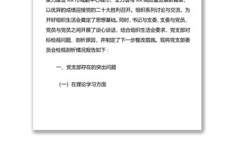 XX縣醫(yī)療保障局黨支部委員會(huì)組織生活會(huì)檢視問(wèn)題情況匯報(bào)
