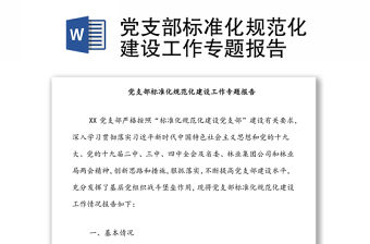 黨支部標準化規范化建設工作專題報告