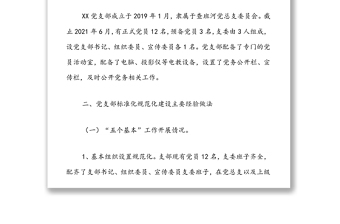 黨支部標準化規(guī)范化建設工作專題報告