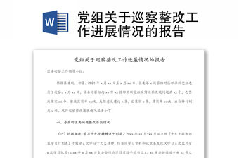 黨組關于巡察整改工作進展情況的報告