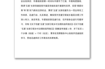 市五星黨支部創建工作進展匯報范文工作匯報總結報告