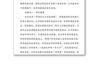 國企探索推進職業(yè)經(jīng)理人改革經(jīng)驗材料