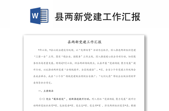 縣兩新黨建工作匯報