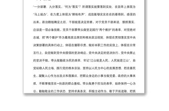 局黨組書記狠抓工作落實專題組織生活會對照檢查材料