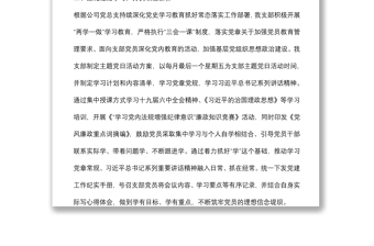 國企黨支部2022年上半年黨建工作總結(jié)