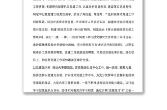 黨建品牌創建經驗材料：構建“黨建+內審”工作格局筑牢“免疫系統”第一防線（縣審計局）