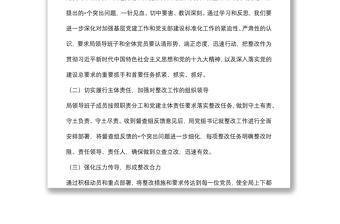基層黨建工作督查整改情況報告