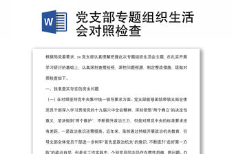 黨支部專題組織生活會對照檢查