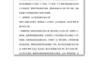 區(qū)委組織部基層黨建特色亮點工作匯報