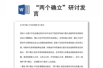 “兩個確立”研討發言