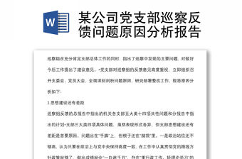 某公司黨支部巡察反饋問題原因分析報告