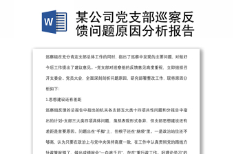 某公司黨支部巡察反饋問題原因分析報(bào)告