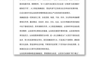 輔導報告：以自我革命精神大力推進清廉建設
