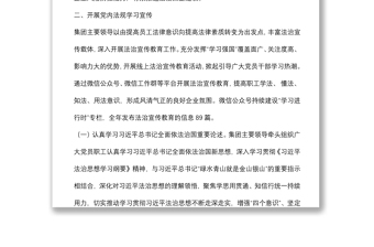 黨內(nèi)法規(guī)工作總結(jié)報告