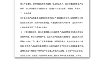 X縣名特優(yōu)新農(nóng)產(chǎn)品創(chuàng)建典型案例