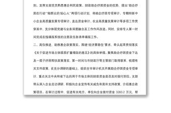 審計局黨支部“為民惠企爭模范”行動工作匯報材料