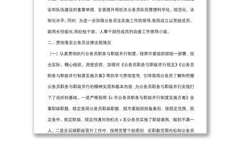 公務員法律法規執行情況自查報告