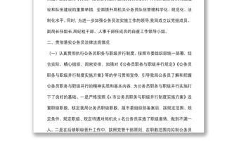 公務(wù)員法律法規(guī)執(zhí)行情況自查報告