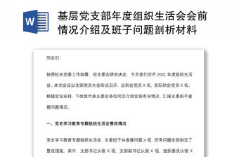 基層黨支部年度組織生活會會前情況介紹及班子問題剖析材料