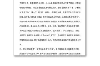 健全農業社會化服務體系助推鄉村振興工作匯報