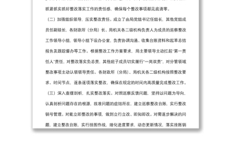 巡察整改進(jìn)展情況工作報告（局機(jī)關(guān)）