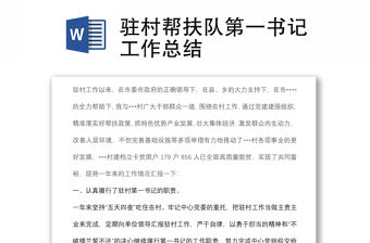 駐村幫扶隊第一書記工作總結