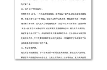 駐村幫扶隊第一書記工作總結