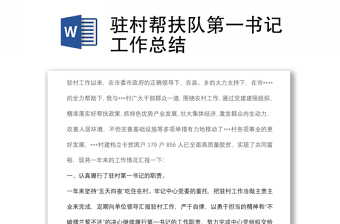 駐村幫扶隊第一書記工作總結