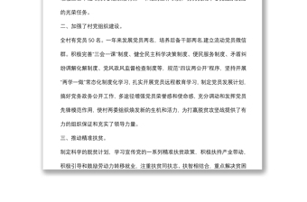 駐村幫扶隊(duì)第一書記工作總結(jié)