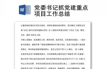 黨委書記抓黨建重點(diǎn)項(xiàng)目工作總結(jié)