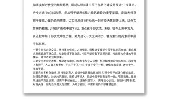 中層干部隊(duì)伍建設(shè)工作會(huì)議總結(jié)講話(huà)提綱