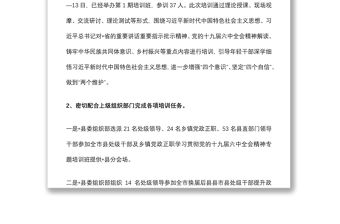 黨校上半年工作總結和下半年工作計劃