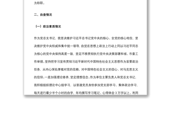 領(lǐng)導(dǎo)干部個人政治自畫像