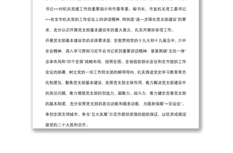 關(guān)于開展黨支部基本建設(shè)年的工作方案