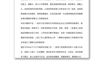 黨員領(lǐng)導(dǎo)干部講評(píng)分管黨支部書(shū)記點(diǎn)評(píng)材料