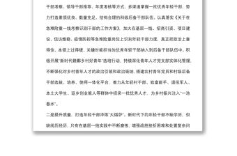 年輕干部隊伍建設工作座談發言