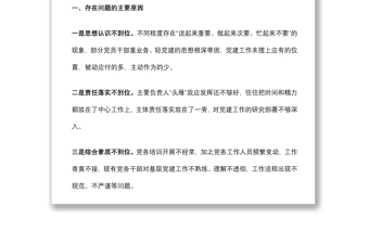 2022年市局黨建工作調(diào)研檢查反饋問題整改方案
