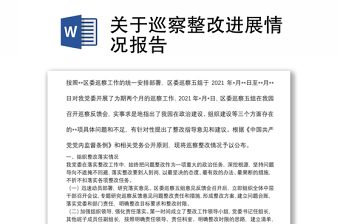 關(guān)于巡察整改進展情況報告