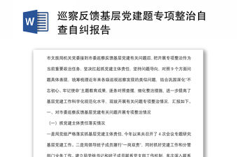 巡察反饋基層黨建題專項整治自查自糾報告