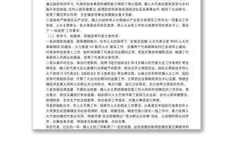 2022年鎮(zhèn)人大主席團(tuán)工作報(bào)告
