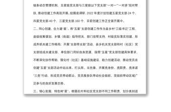 縣“五星”支部創(chuàng)建工作匯報