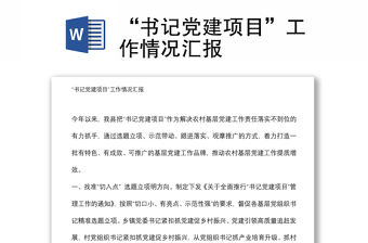 “書記黨建項目”工作情況匯報