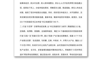 “書記黨建項目”工作情況匯報